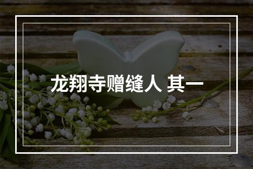 龙翔寺赠缝人 其一