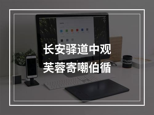 长安驿道中观芙蓉寄嘲伯循