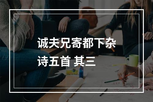 诚夫兄寄都下杂诗五首 其三