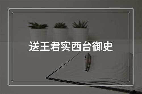 送王君实西台御史