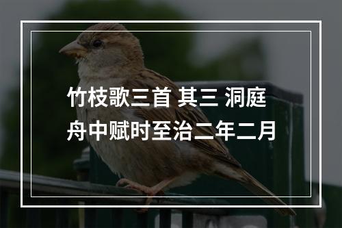 竹枝歌三首 其三 洞庭舟中赋时至治二年二月