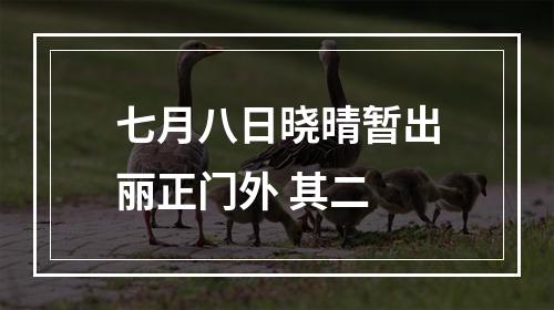 七月八日晓晴暂出丽正门外 其二