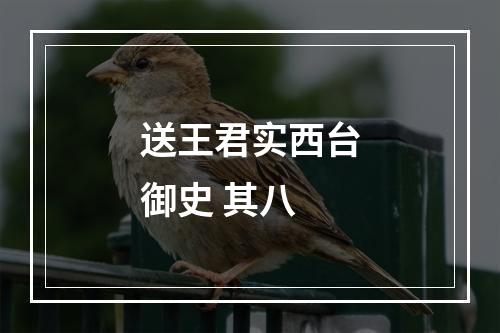 送王君实西台御史 其八