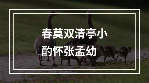 春莫双清亭小酌怀张孟幼