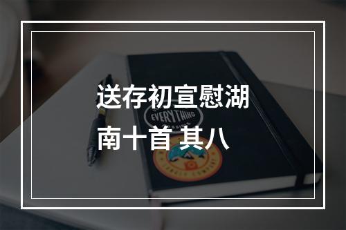 送存初宣慰湖南十首 其八