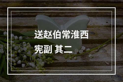 送赵伯常淮西宪副 其二