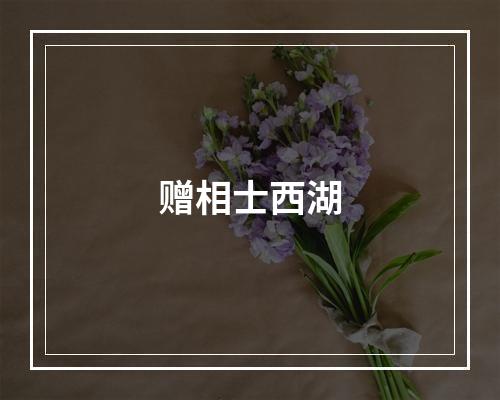 赠相士西湖