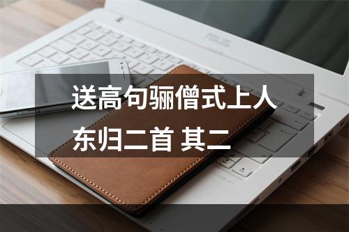 送高句骊僧式上人东归二首 其二