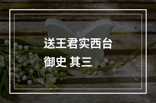 送王君实西台御史 其三