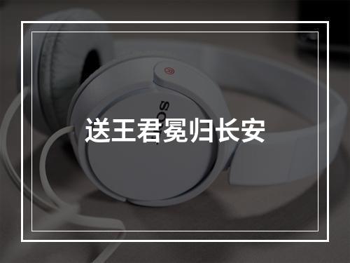送王君冕归长安