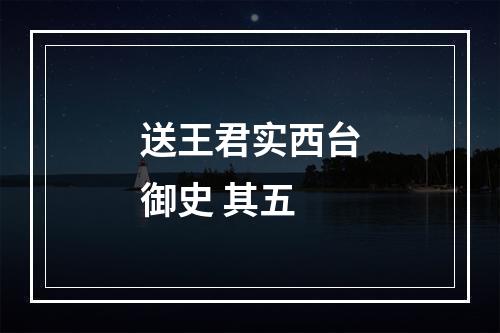 送王君实西台御史 其五