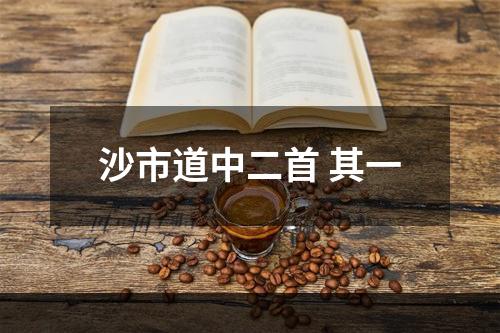 沙市道中二首 其一