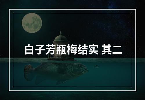 白子芳瓶梅结实 其二