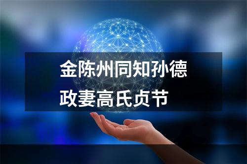 金陈州同知孙德政妻高氏贞节