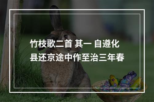 竹枝歌二首 其一 自遵化县还京途中作至治三年春