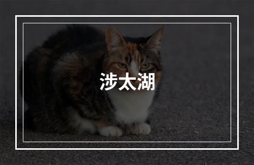 涉太湖