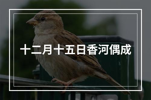 十二月十五日香河偶成