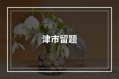 津市留题
