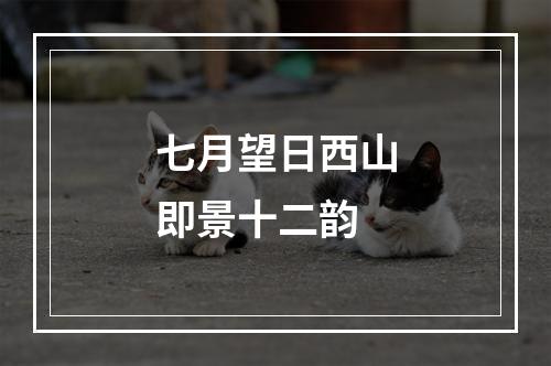 七月望日西山即景十二韵