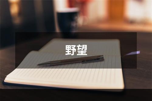 野望