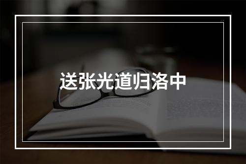 送张光道归洛中