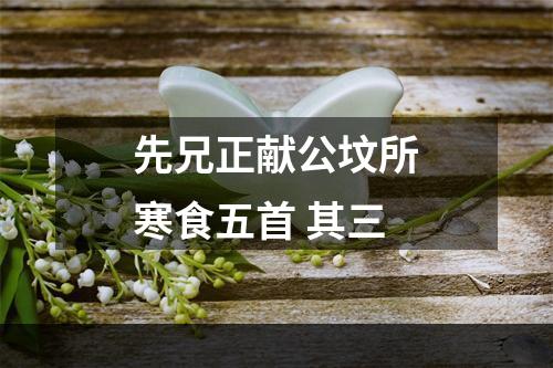先兄正献公坟所寒食五首 其三