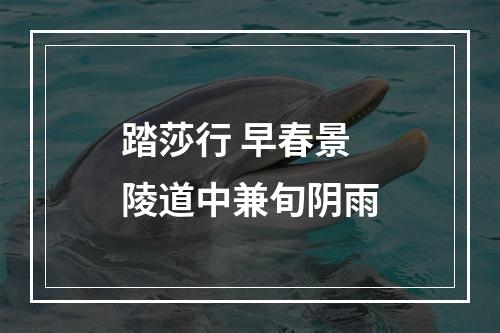 踏莎行 早春景陵道中兼旬阴雨