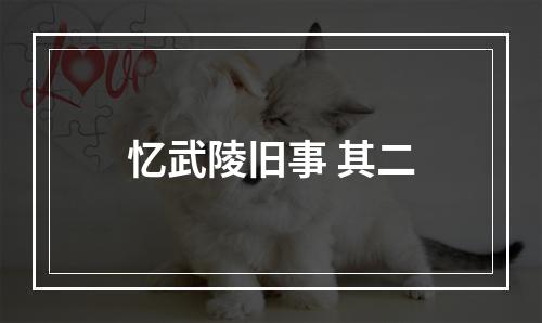 忆武陵旧事 其二