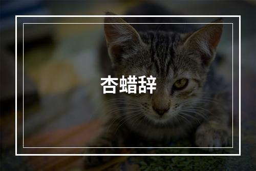 杏蜡辞