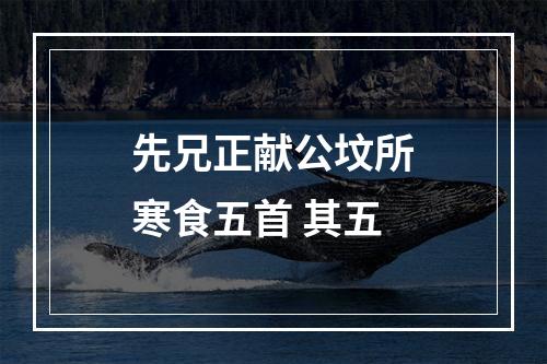 先兄正献公坟所寒食五首 其五