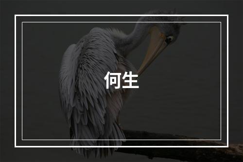 何生