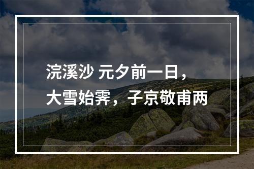 浣溪沙 元夕前一日，大雪始霁，子京敬甫两