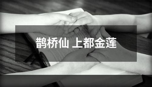 鹊桥仙 上都金莲