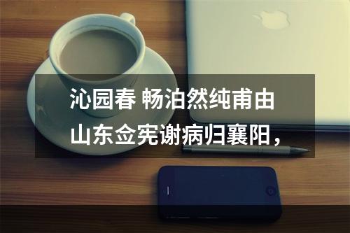 沁园春 畅泊然纯甫由山东佥宪谢病归襄阳，