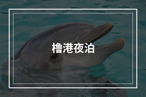 橹港夜泊