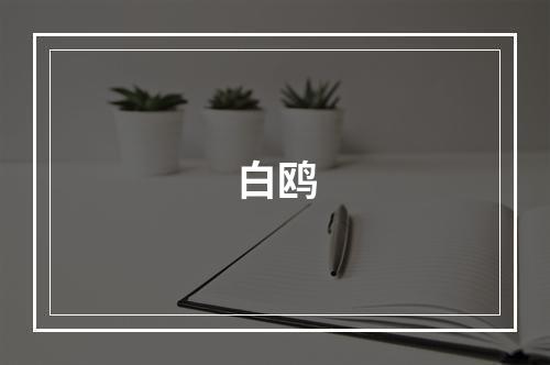 白鸥