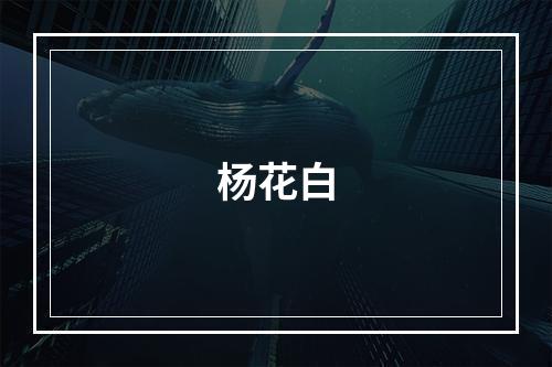 杨花白