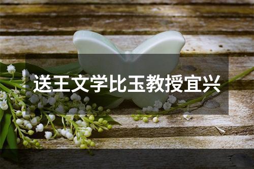 送王文学比玉教授宜兴