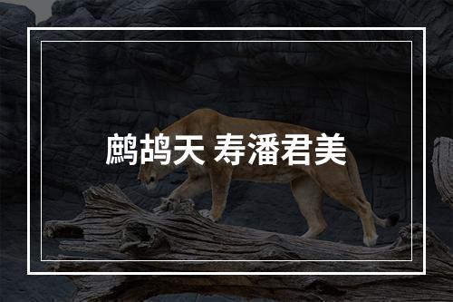 鹧鸪天 寿潘君美