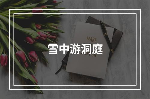雪中游洞庭