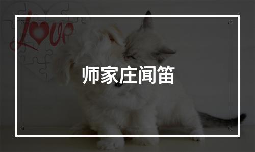 师家庄闻笛