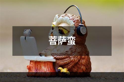 菩萨蛮