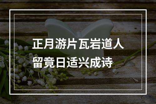 正月游片瓦岩道人留竟日适兴成诗