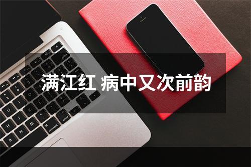 满江红 病中又次前韵