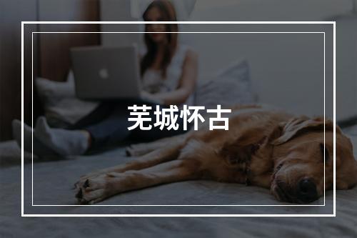 芜城怀古