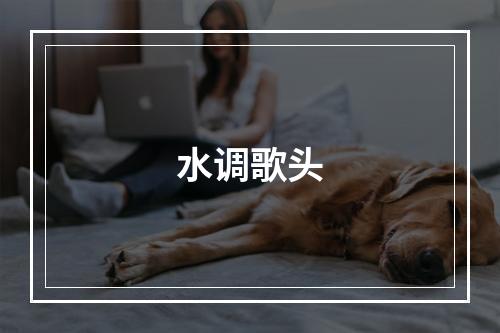 水调歌头