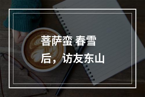菩萨蛮 春雪后，访友东山