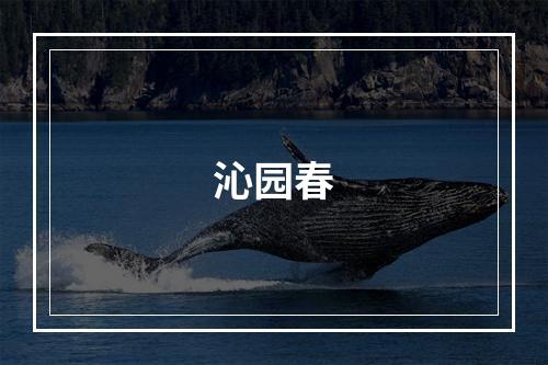 沁园春