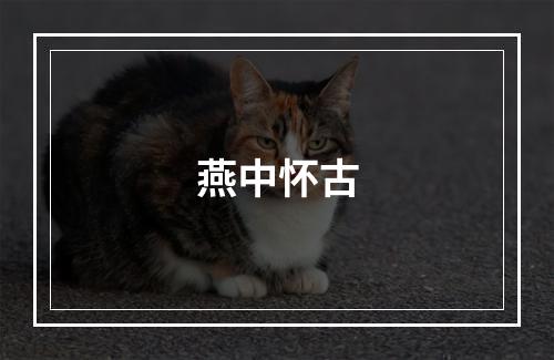 燕中怀古