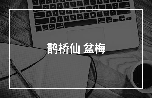 鹊桥仙 盆梅